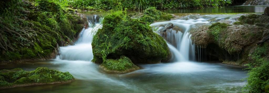 Chute d'eau dans la forêt