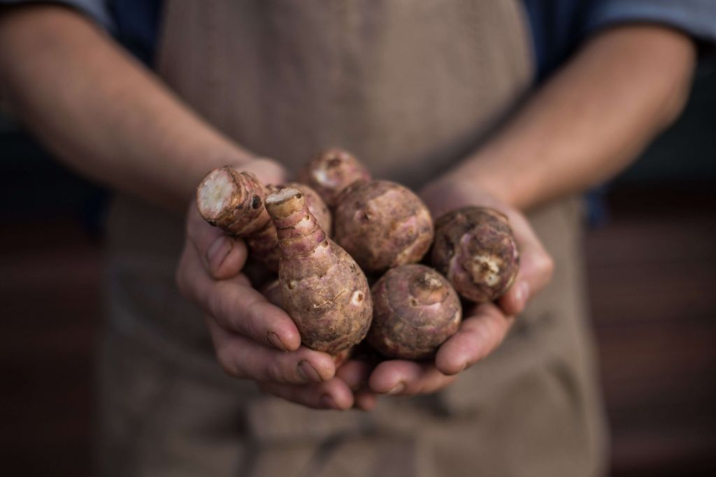 Produits de la terre