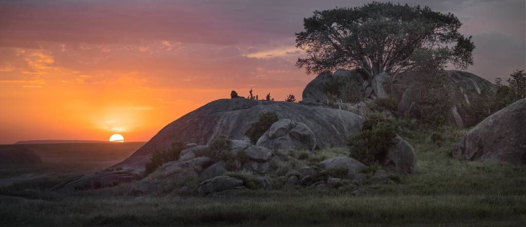 Coucher de soleil sur la savane