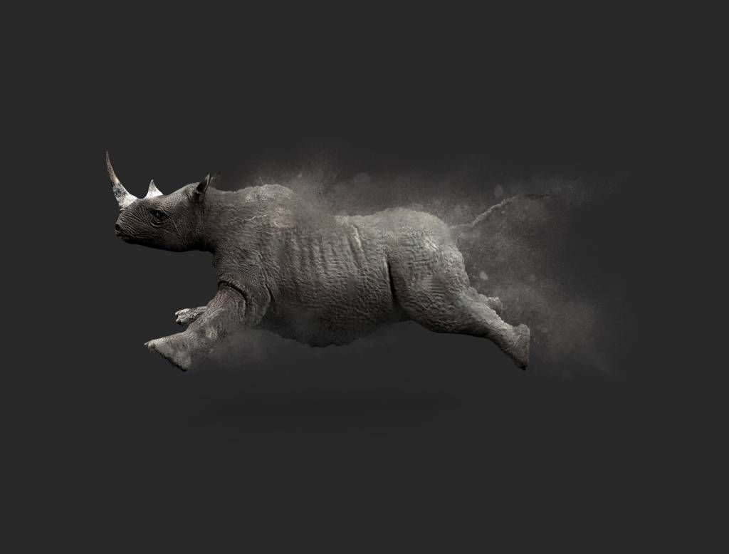Other - Rhinocéros sauteur - Chambre d'adolescent
