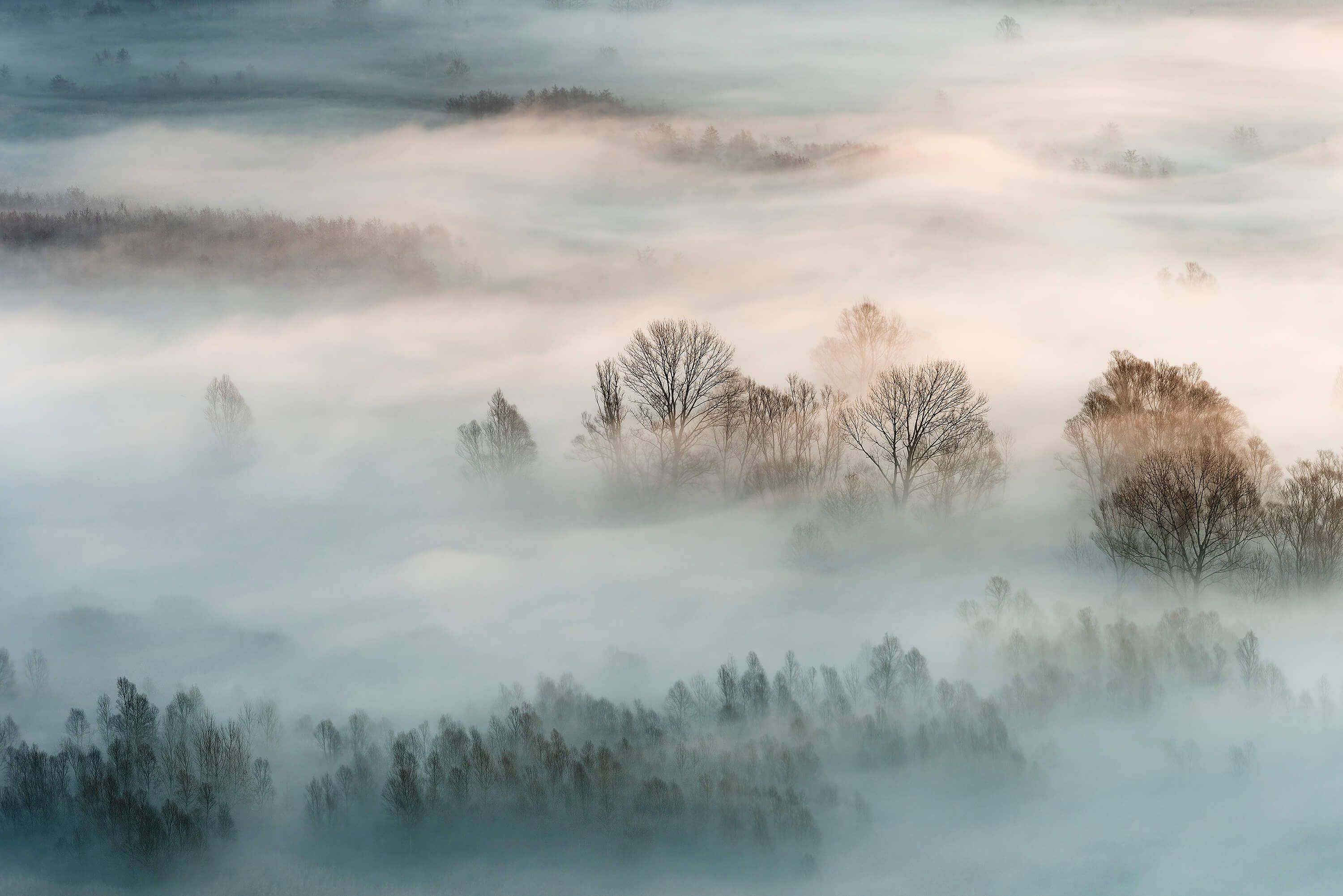 Landschap Winter fog