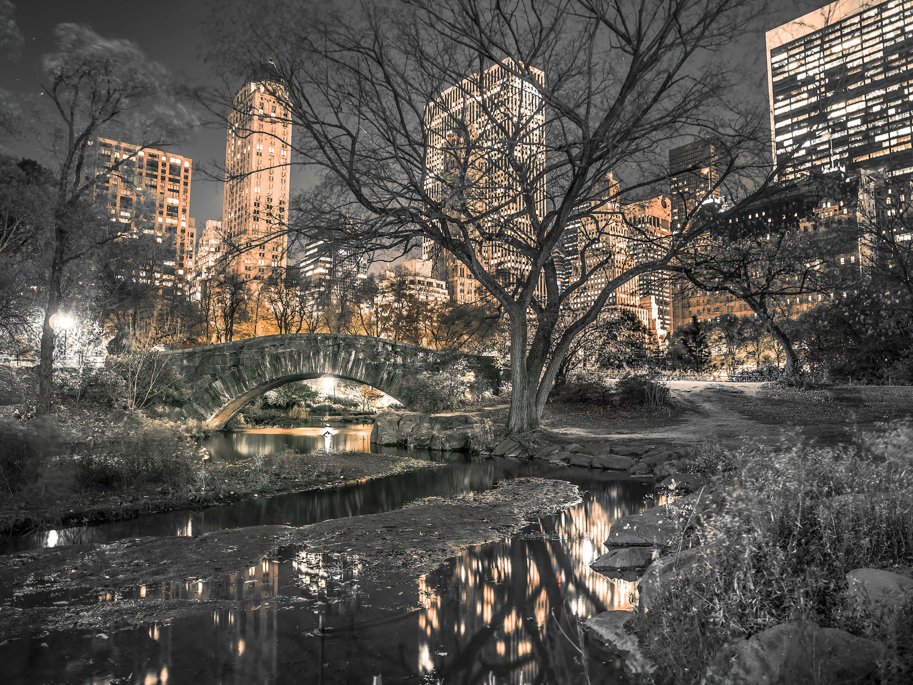  Central park le soir