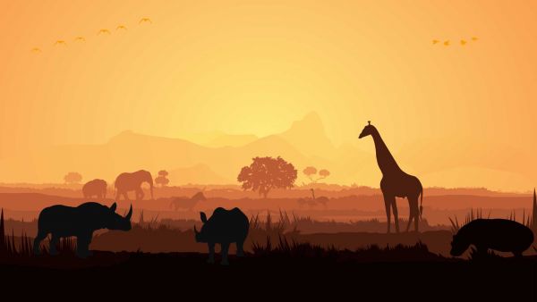 Les animaux sauvages dans la savane