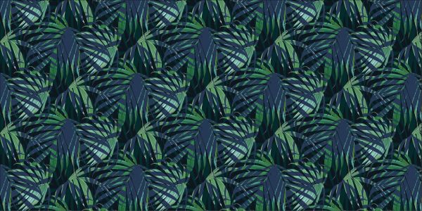 Feuilles de palmier vertes