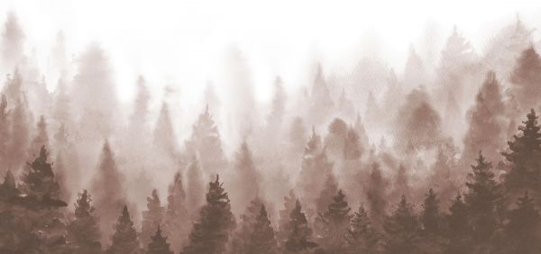 Forêt réalisée à l'aquarelle