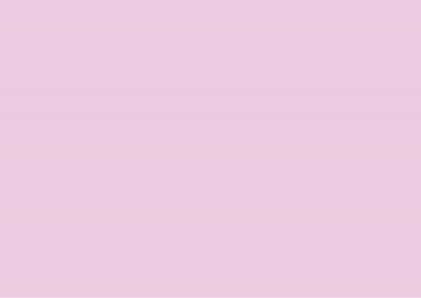 Rose pourpre