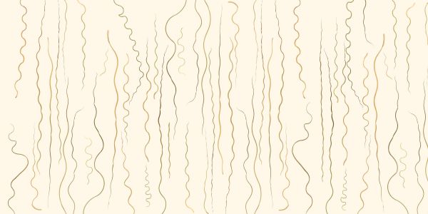 Lignes organiques herbe beige