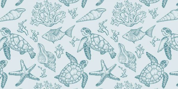 Sérénité du Récif de Tortues