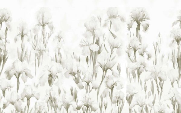 Iris dansent lumière sépia sans couture