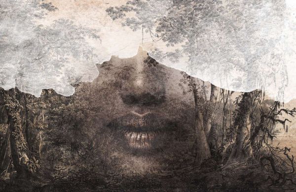 L'âme de la forêt