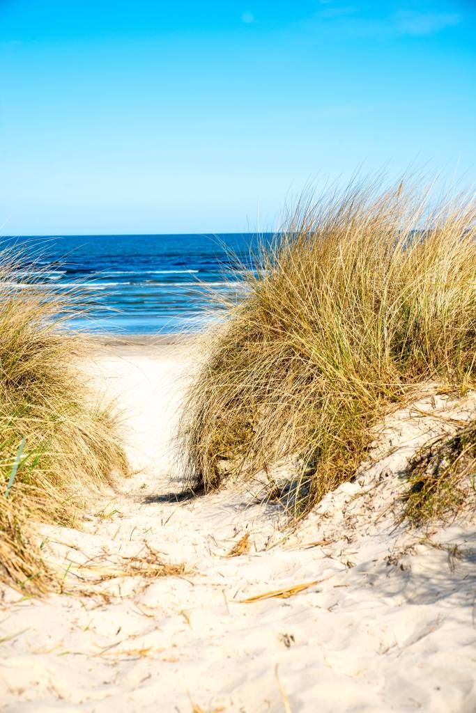 Dunes Dunes