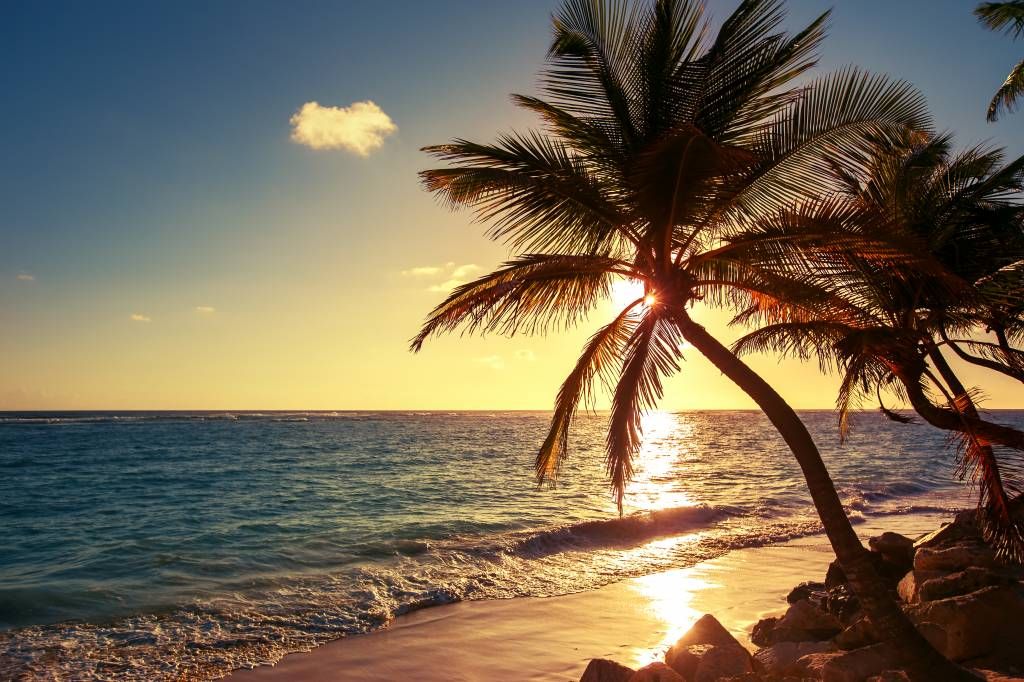 Plage tropicale main product photo