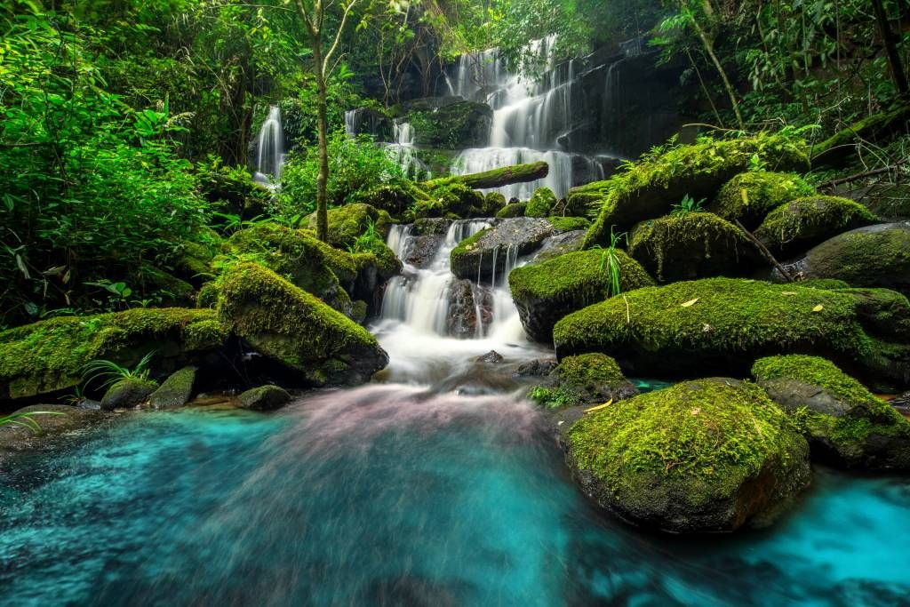 Chute d'eau dans une jungle main product photo
