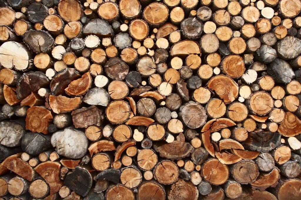 Troncs d'arbres empilés main product photo