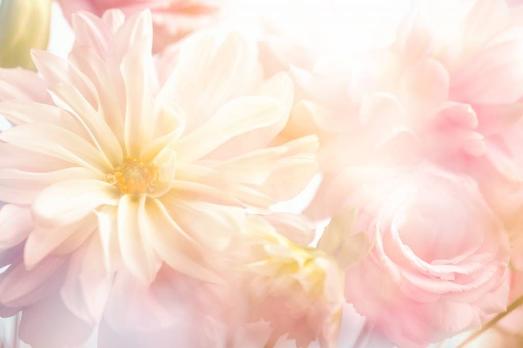 Fleurs claires main product photo