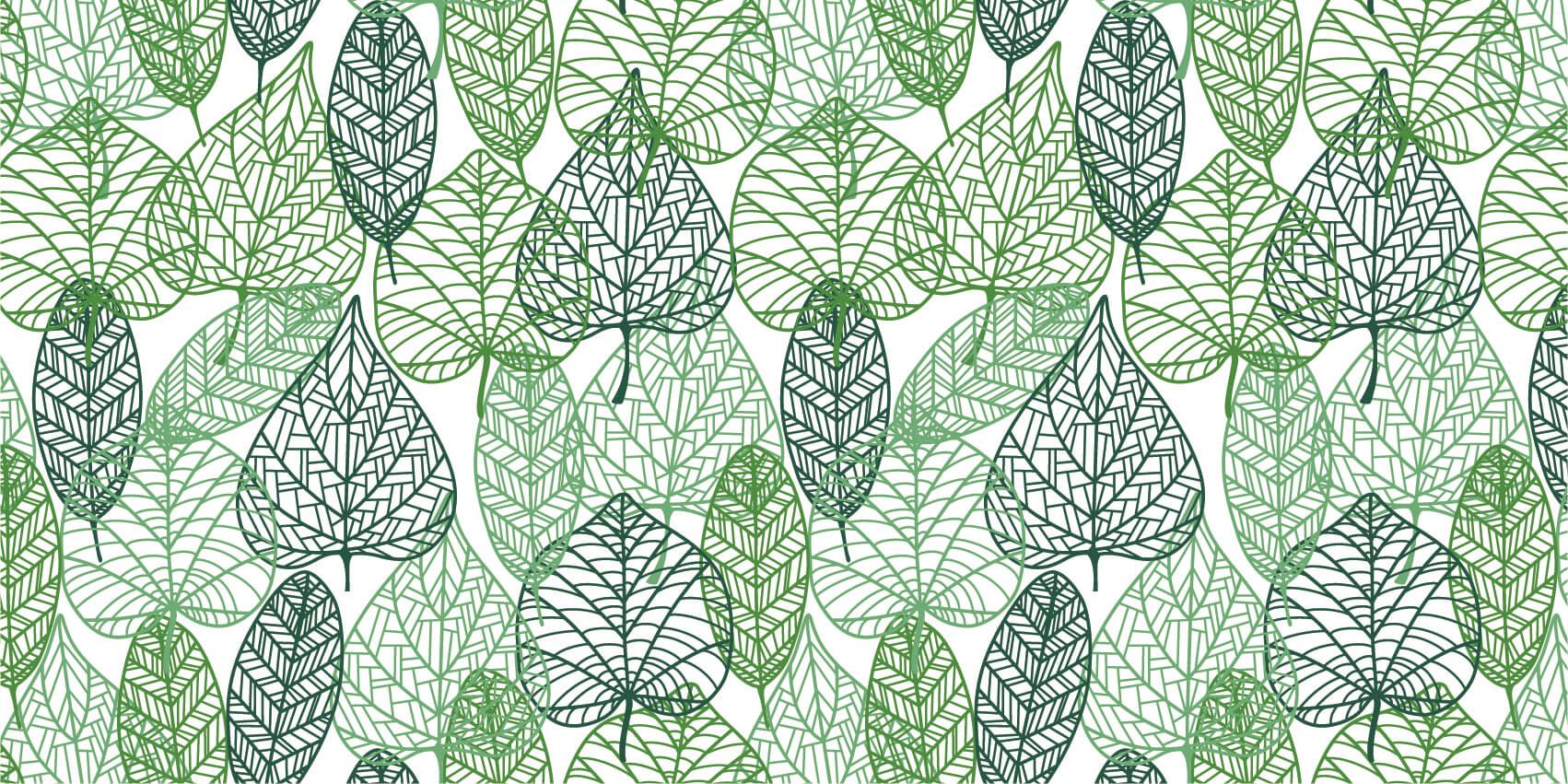 Feuilles vertes éparpillées