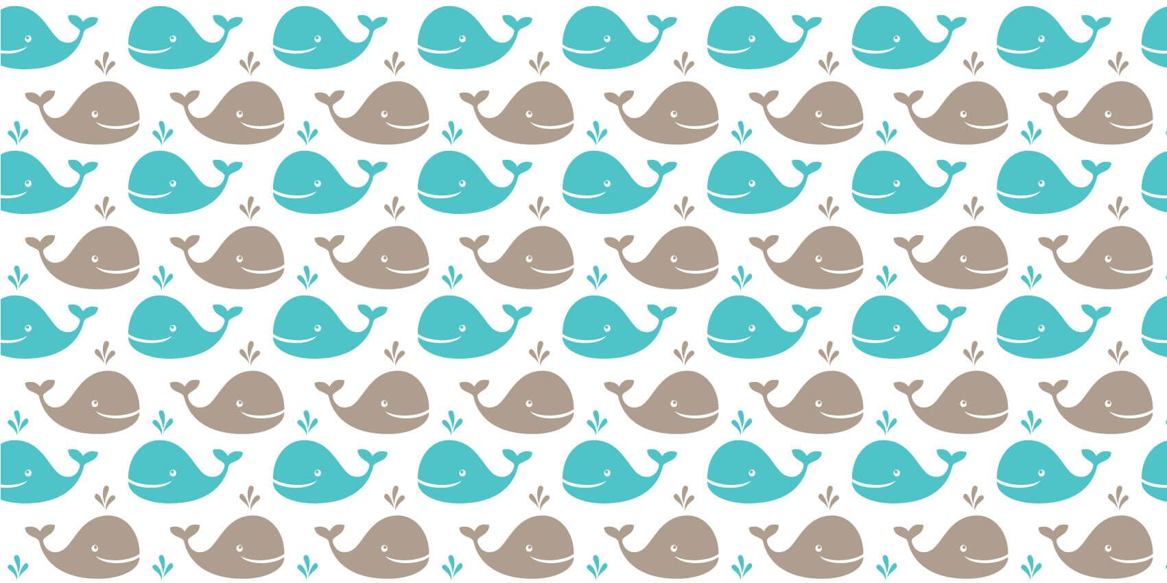 Baleines main product photo