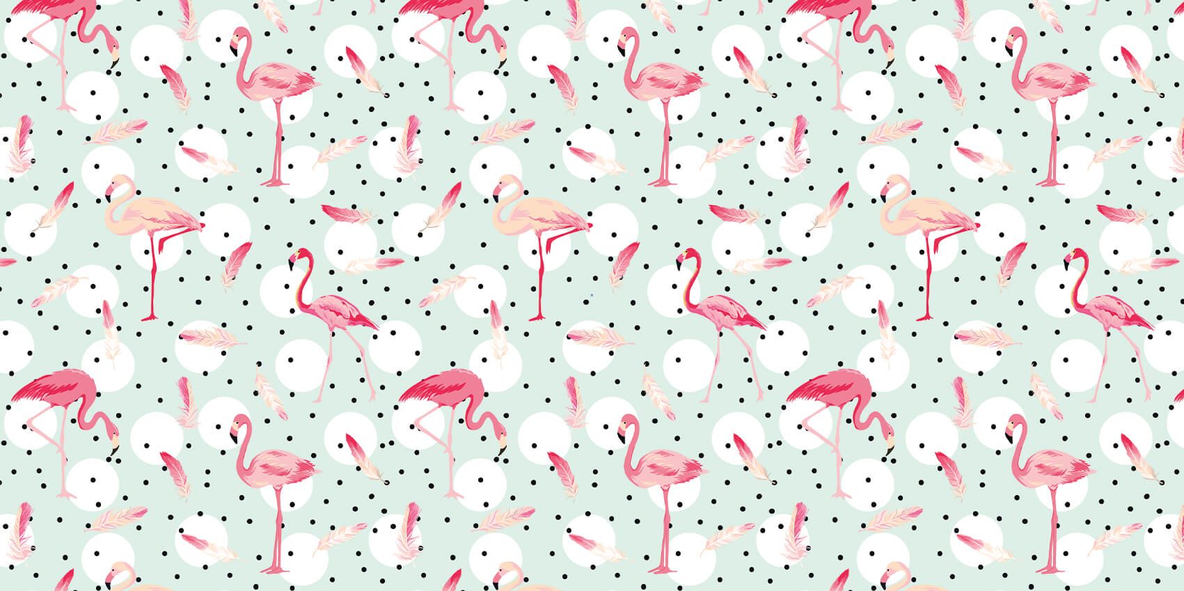 Flamants et plumes roses main product photo
