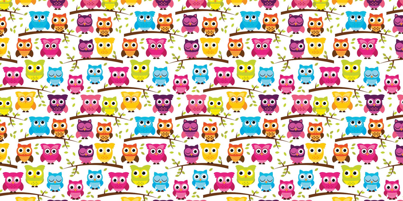 Gekleurde uiltjes main product photo