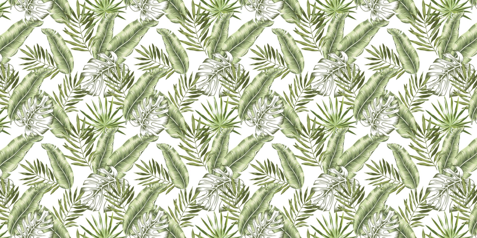 Feuilles tropicales Feuilles tropicales