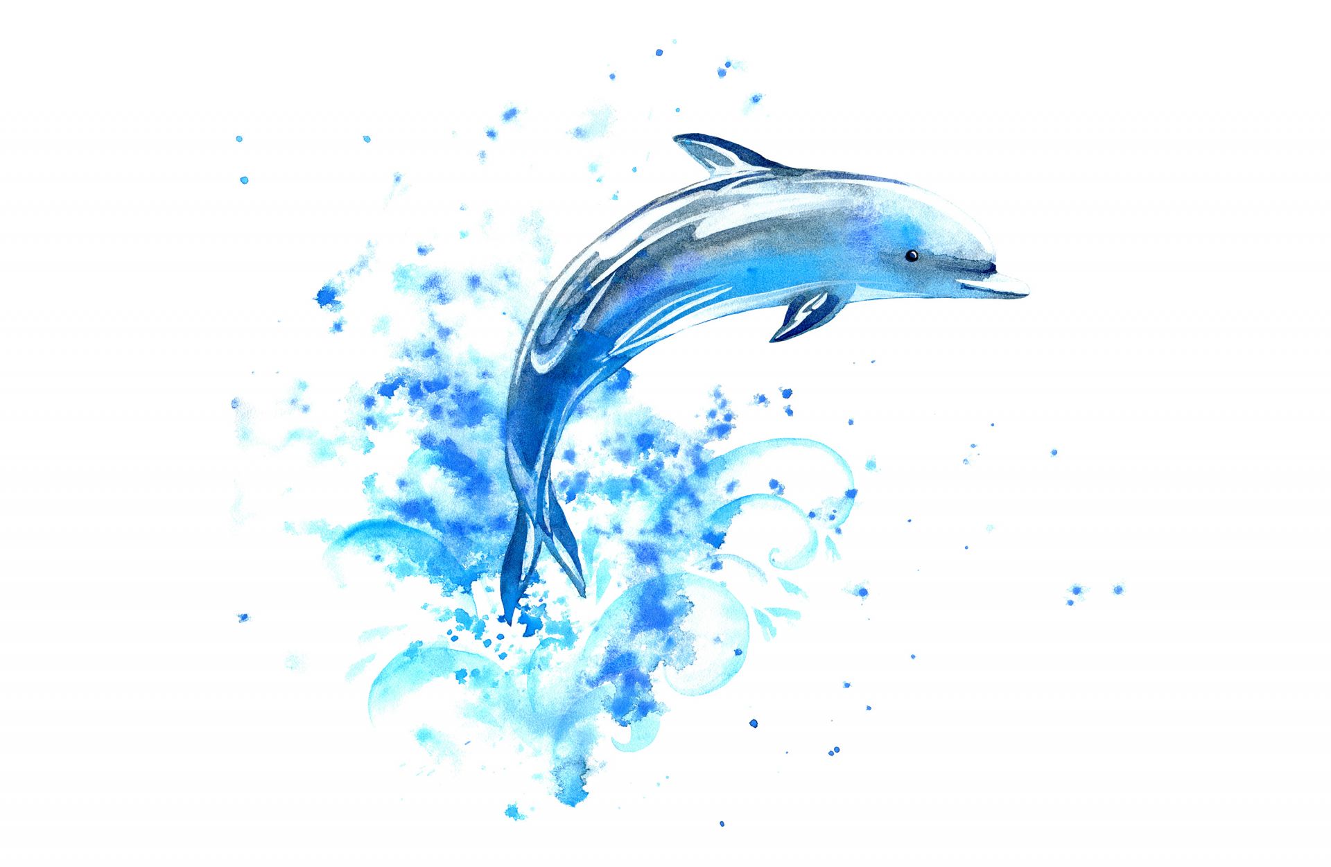 Dauphin sauteur Dauphin sauteur