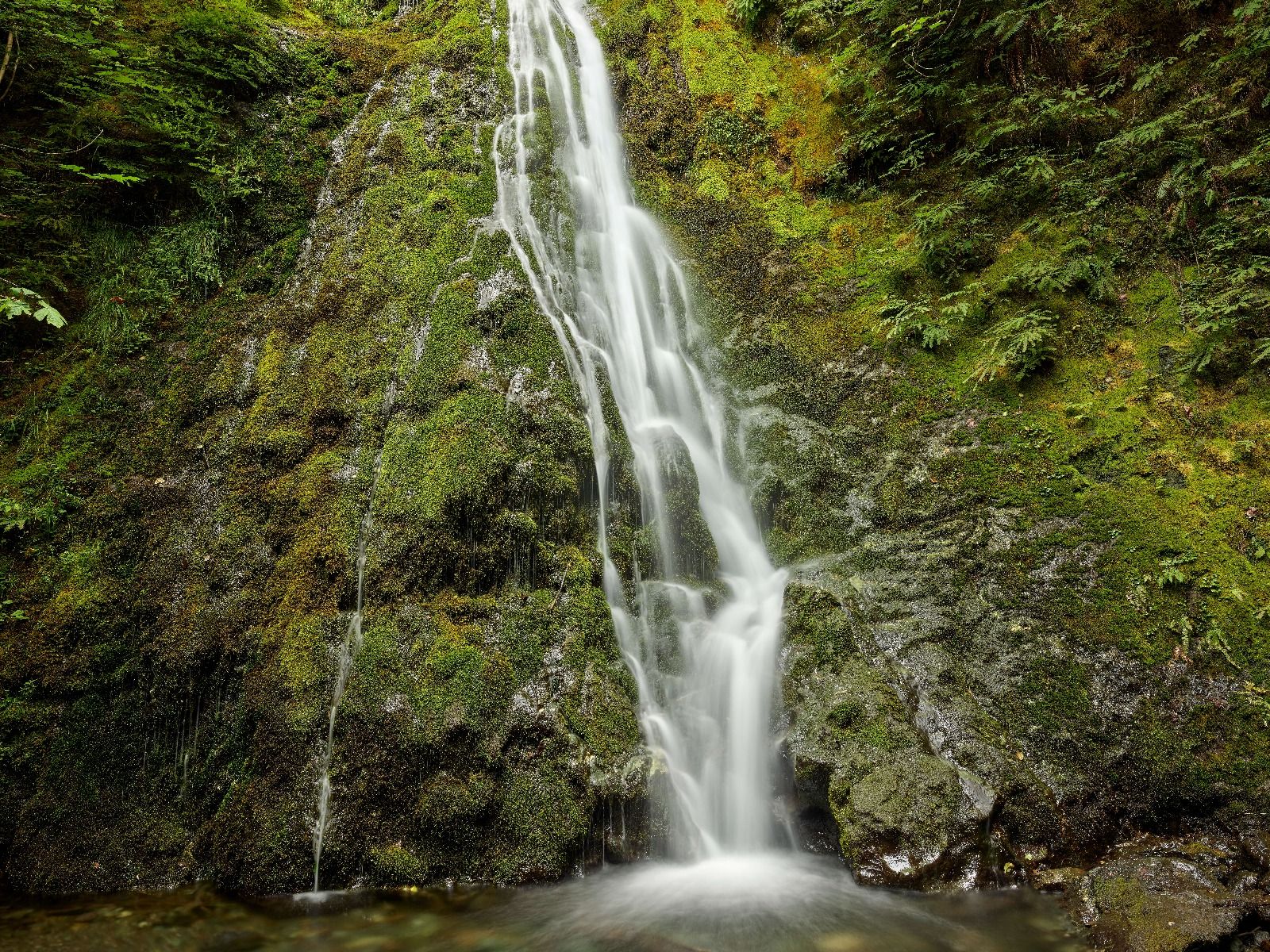 Chute d'eau avec une belle verdure