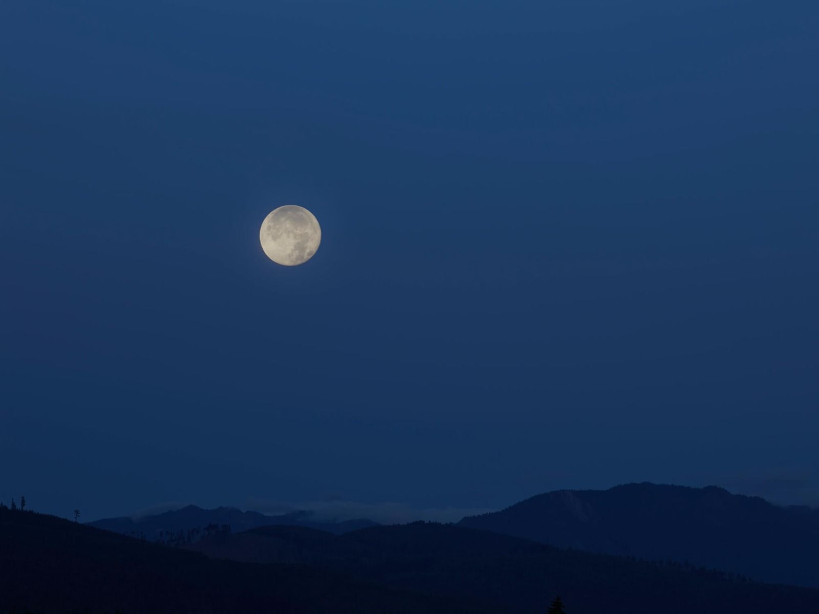 Lune Lune