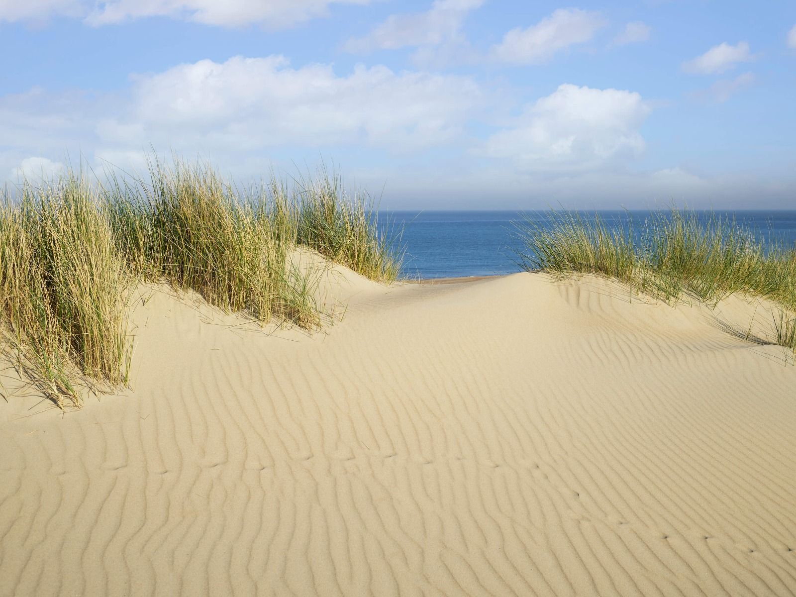 Passage des dunes vers la plage Passage des dunes vers la plage