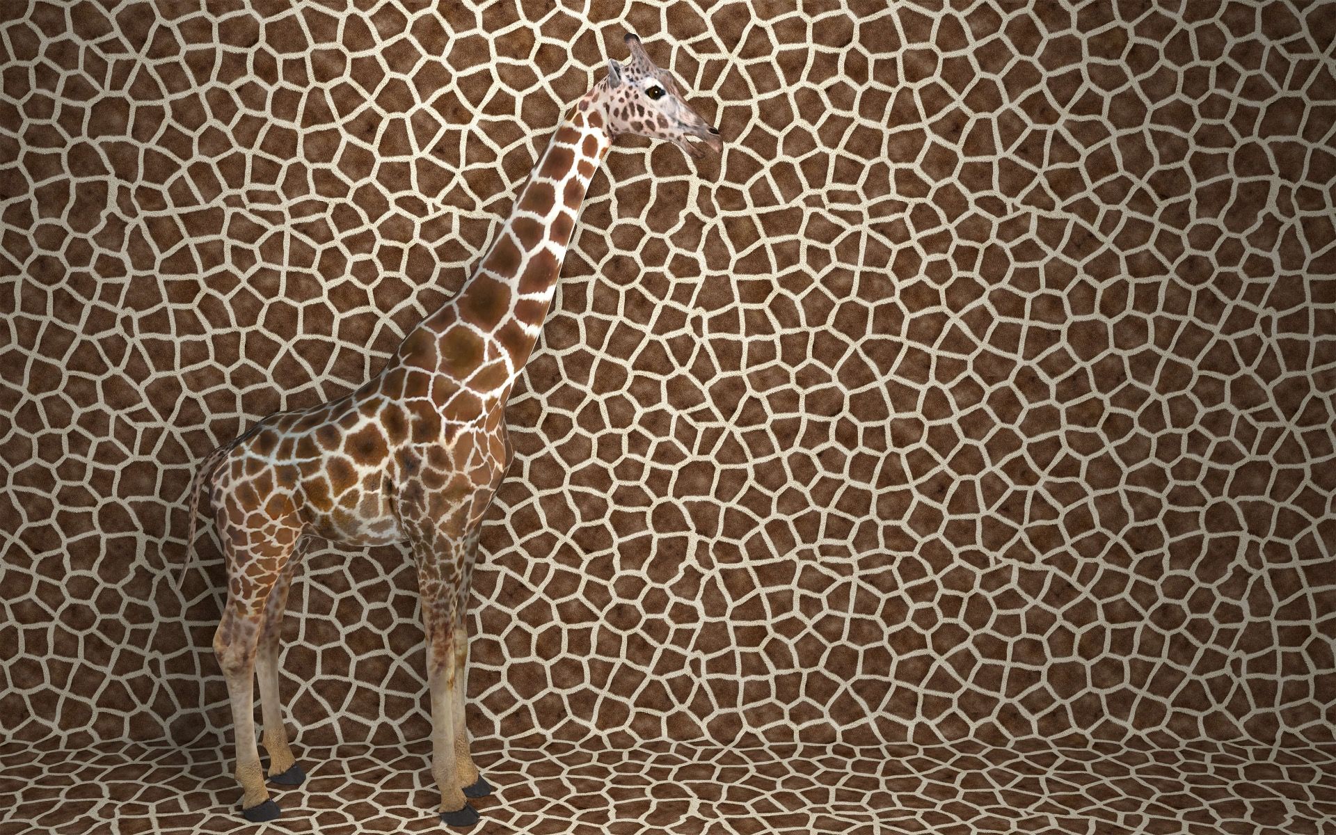 Girafe camouflée Girafe camouflée