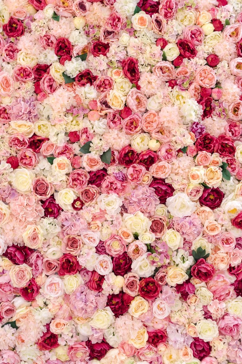 Roses fantaisie Roses fantaisie