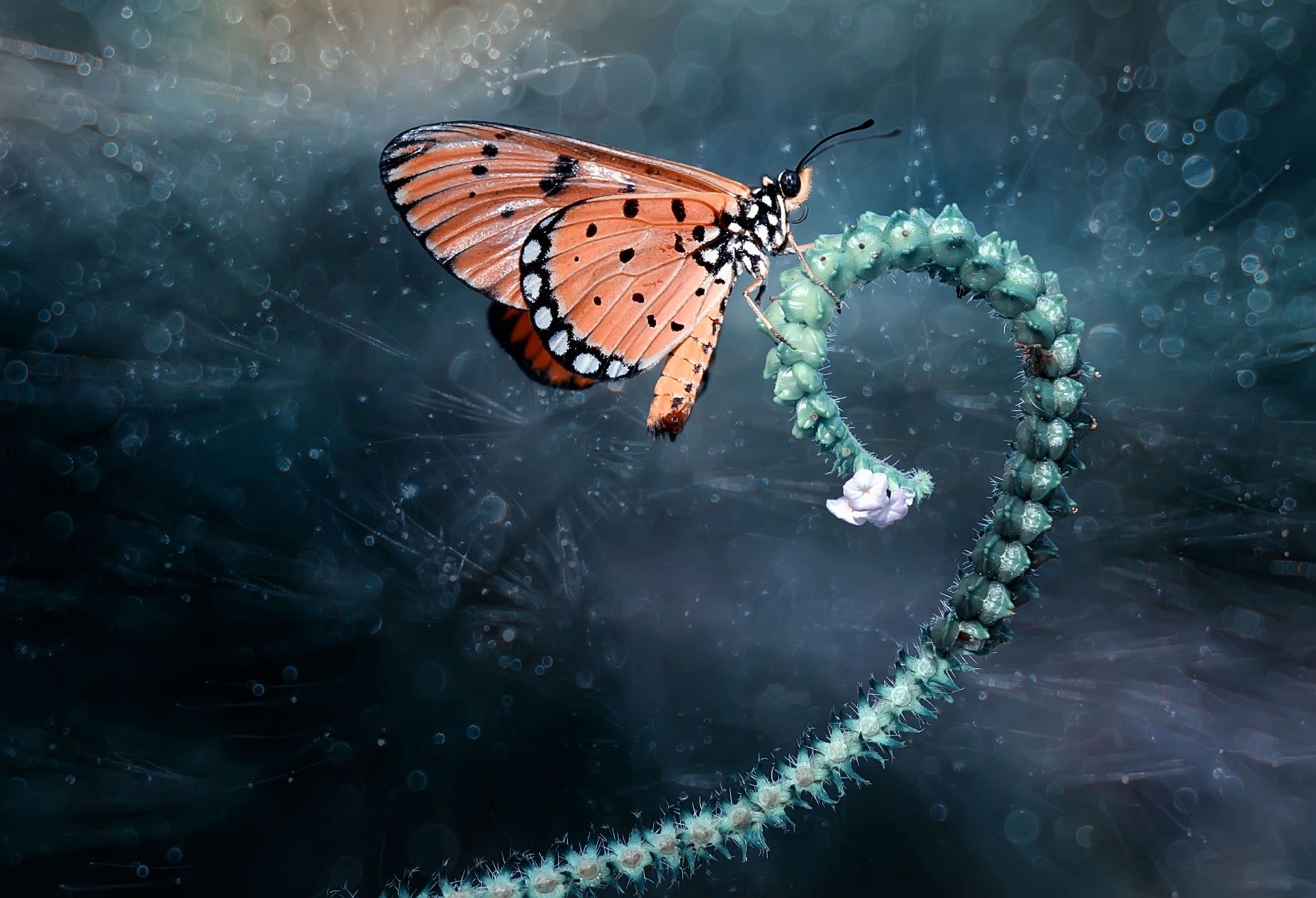 Papillon sur une branche