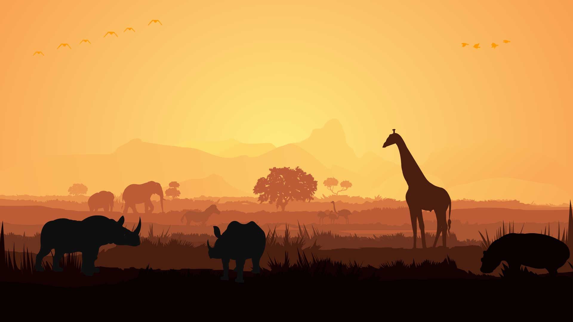 Les animaux sauvages dans la savane Les animaux sauvages dans la savane
