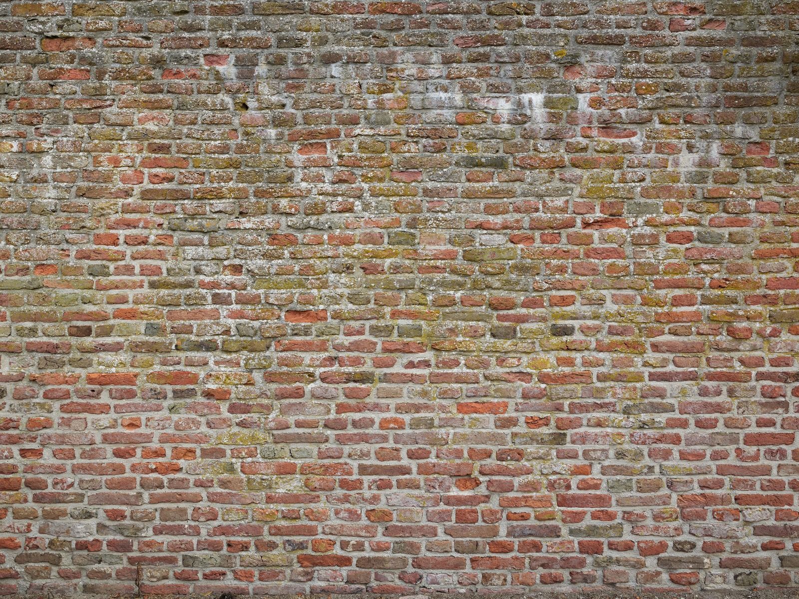 Mur d'enceinte caractéristique de la ville