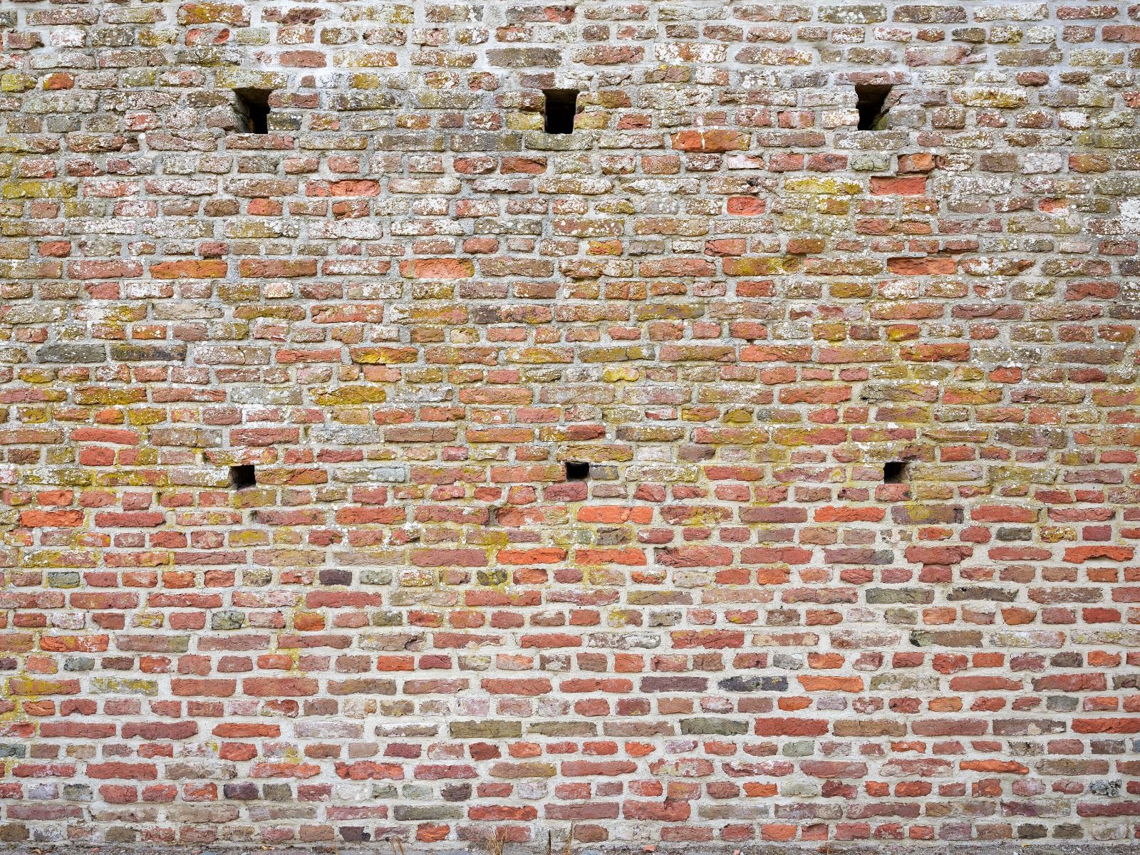 Ancien mur de pierre