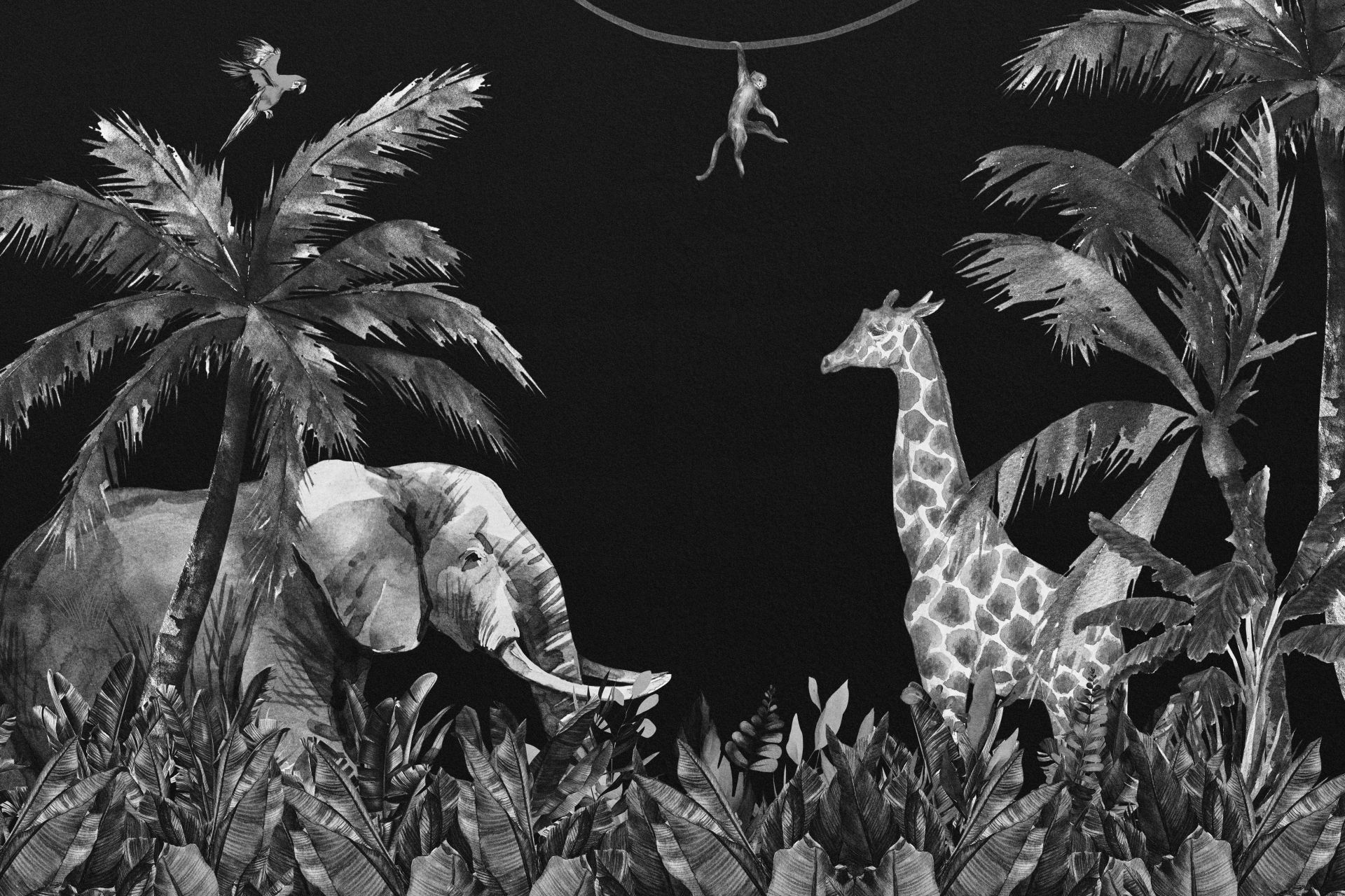 Les animaux noirs et blancs dans la jungle Les animaux noirs et blancs dans la jungle