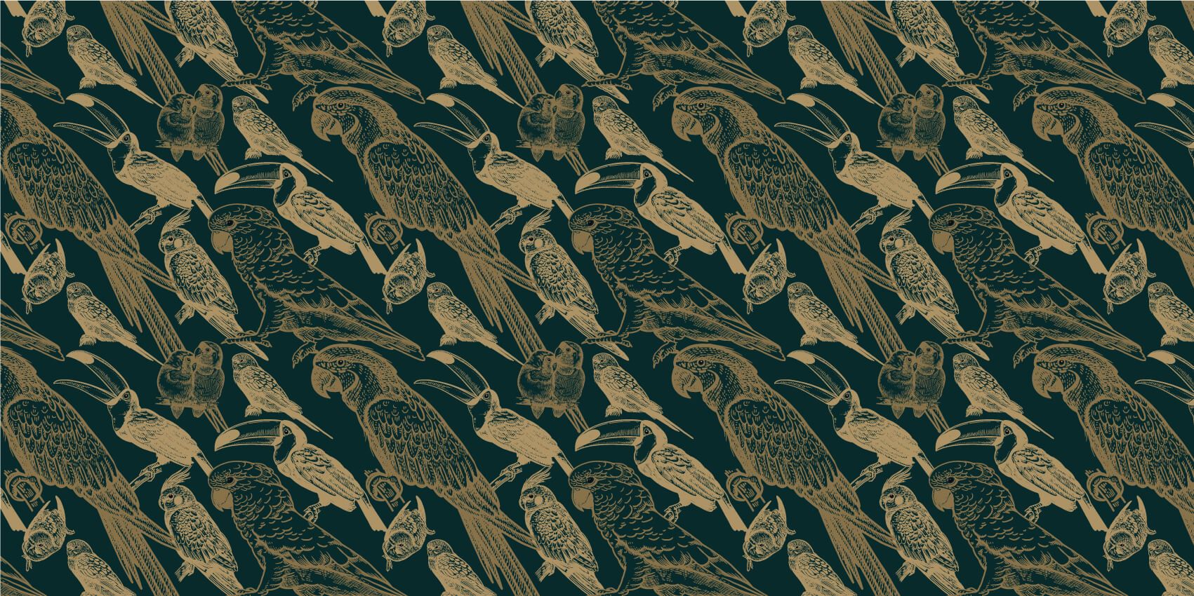 Modèle de perroquet et de toucan