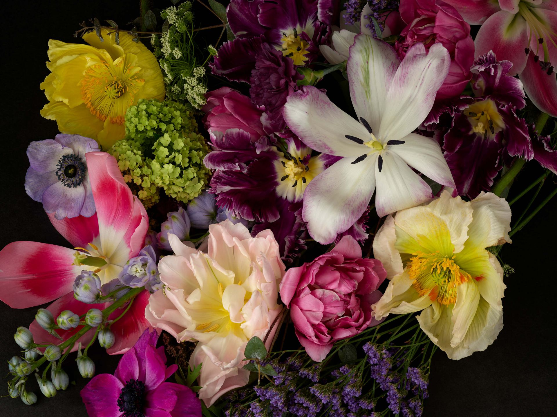 Foral Romantique main product photo