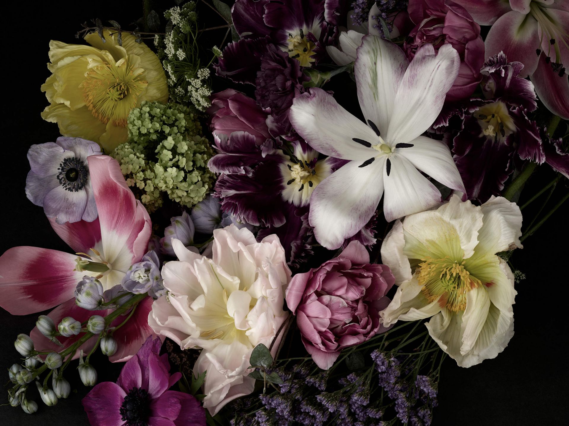 Floral Charme main product photo