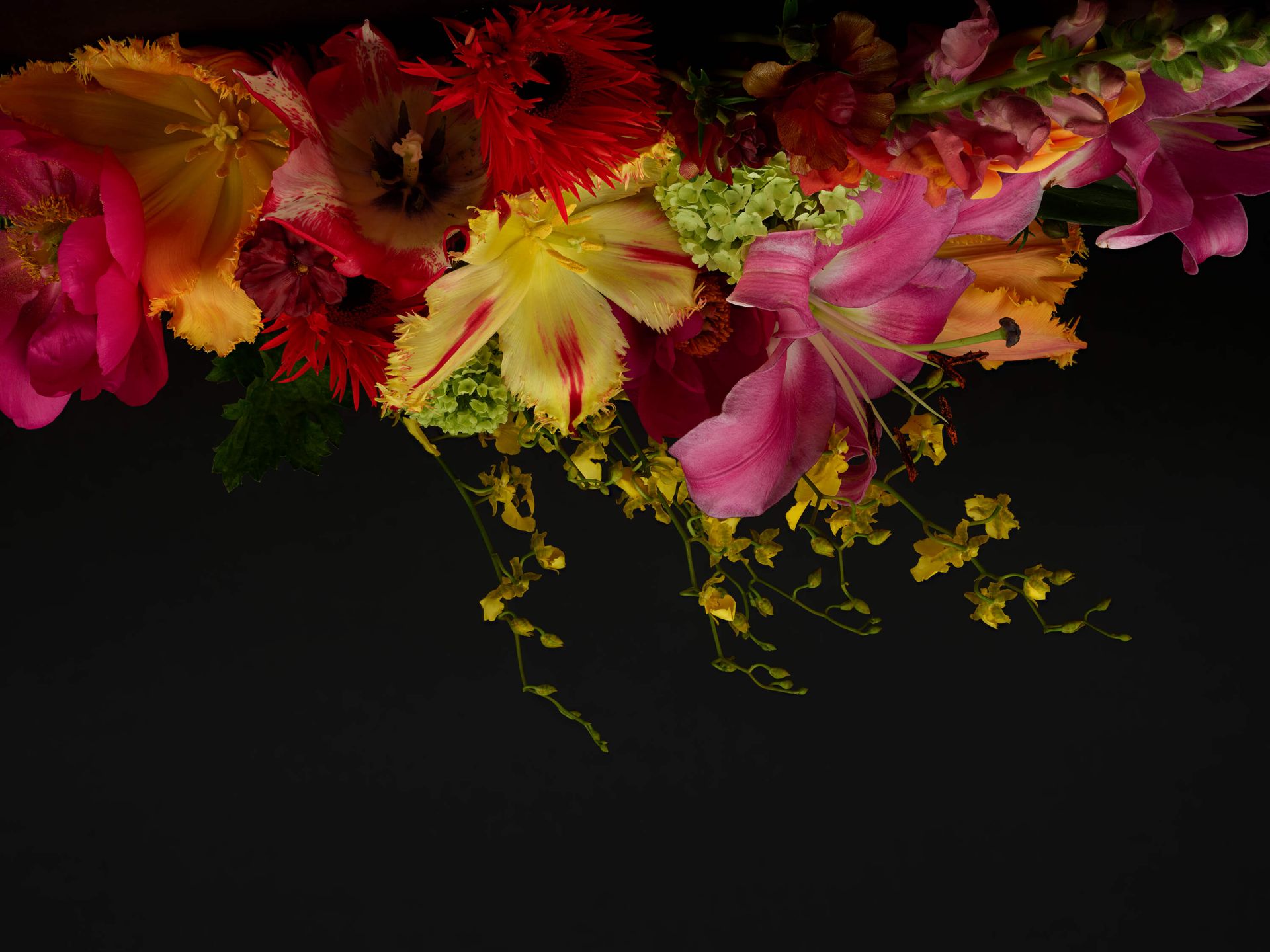 Tête de lit Floral main product photo