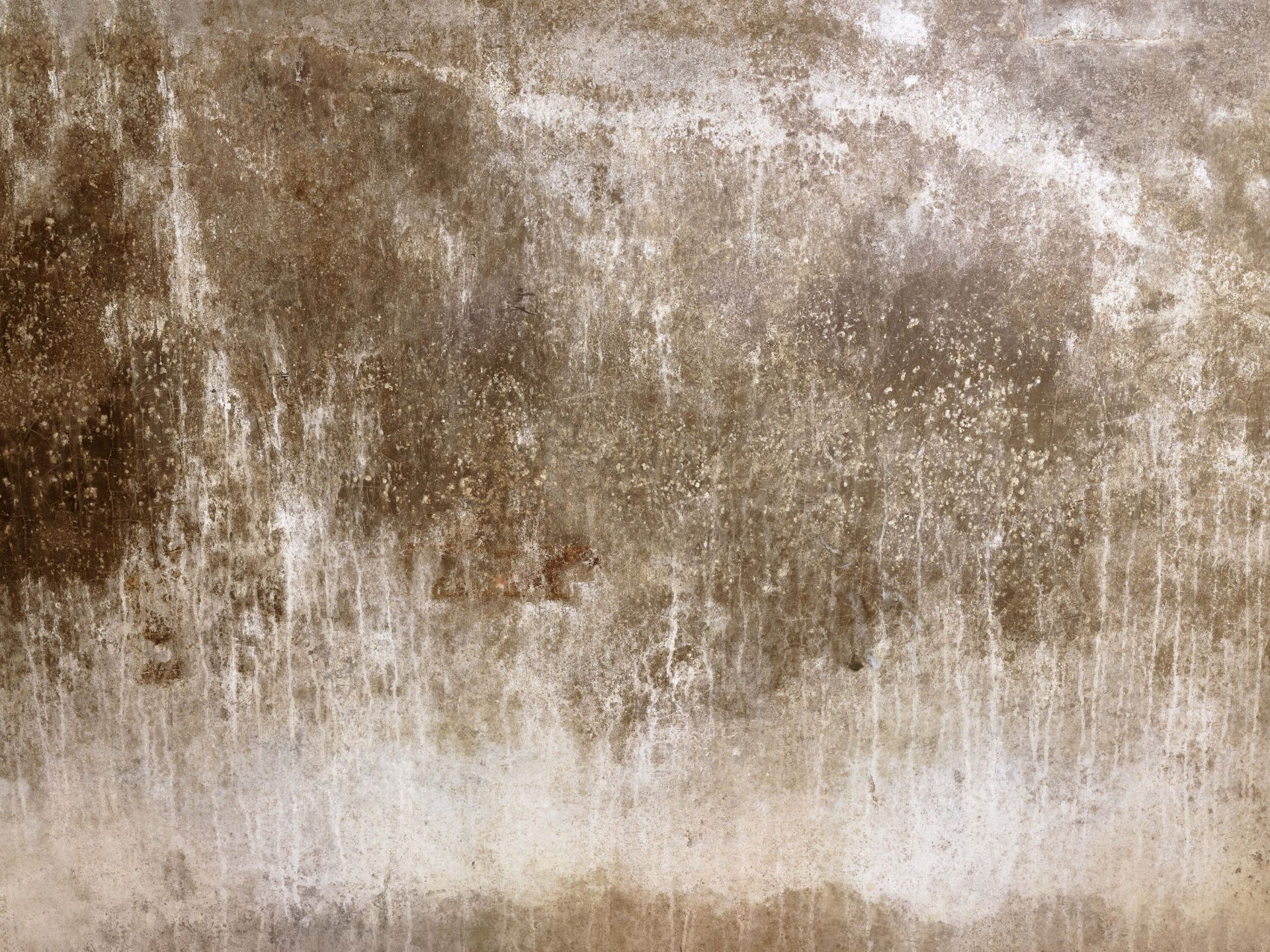 Mur brun vieilli main product photo