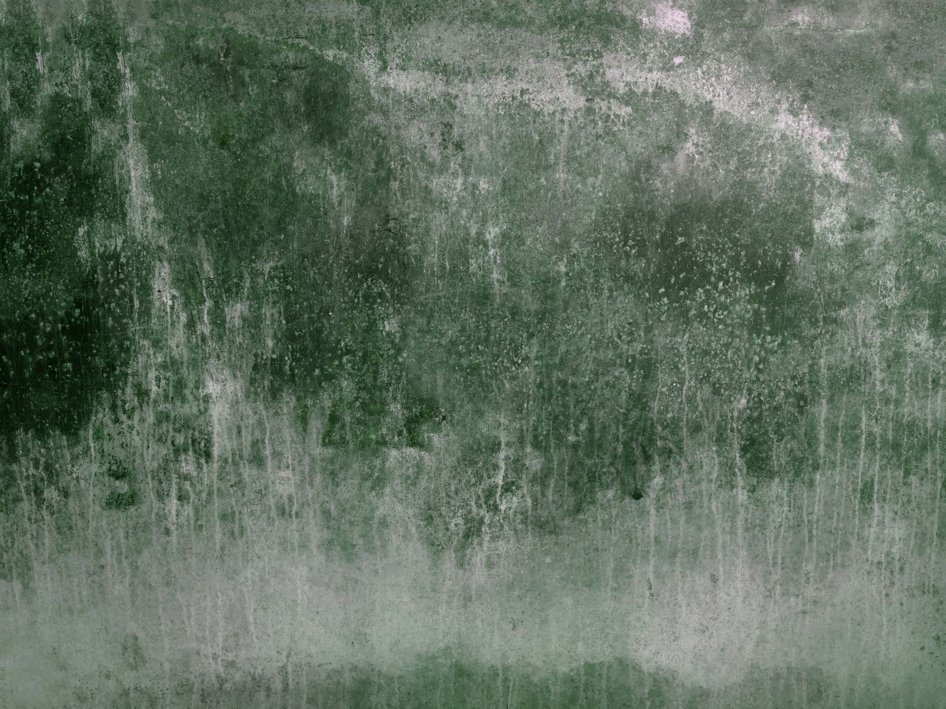Vieux mur vert dégradé main product photo