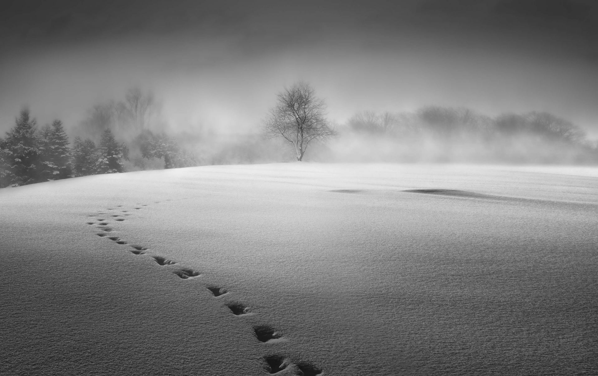 Winter scenery Winter scenery