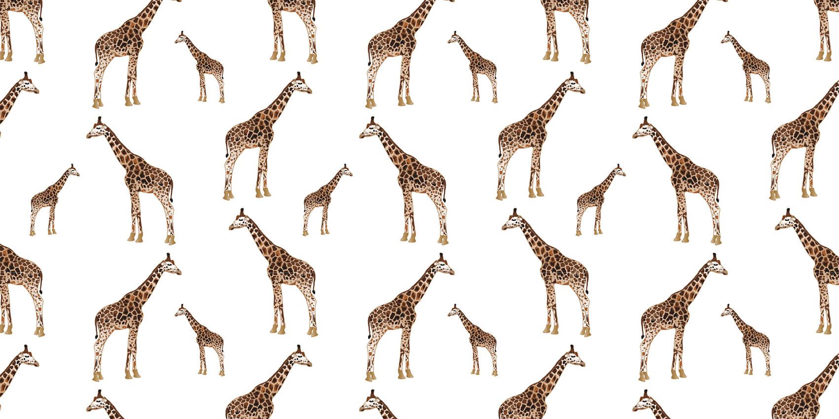 Girafes main product photo