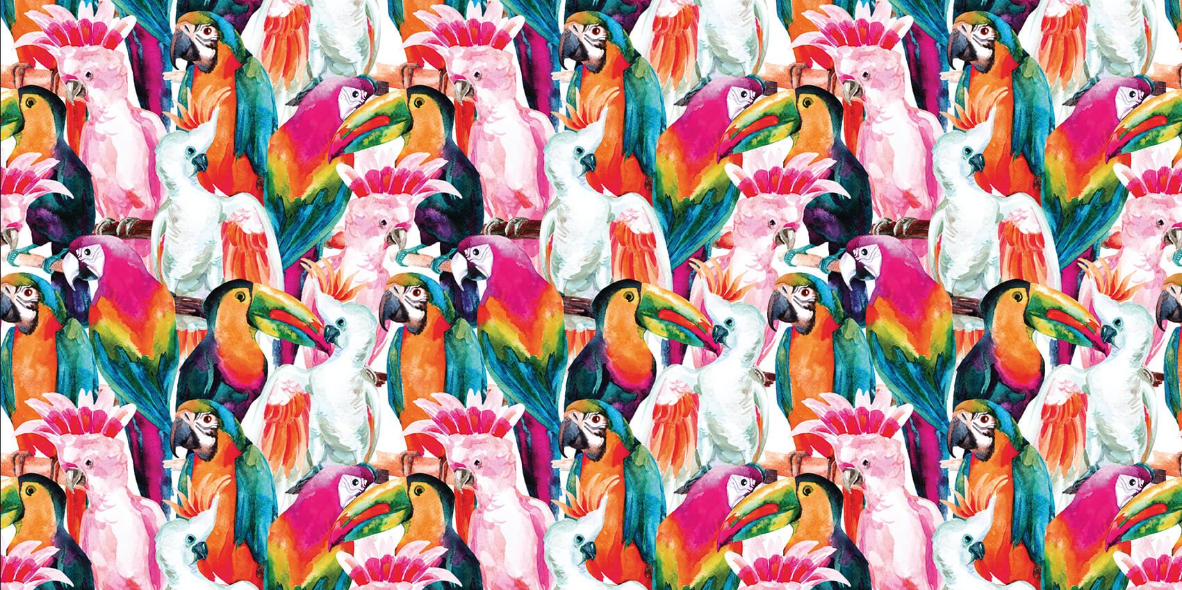 Oiseaux aux couleurs tropicales main product photo