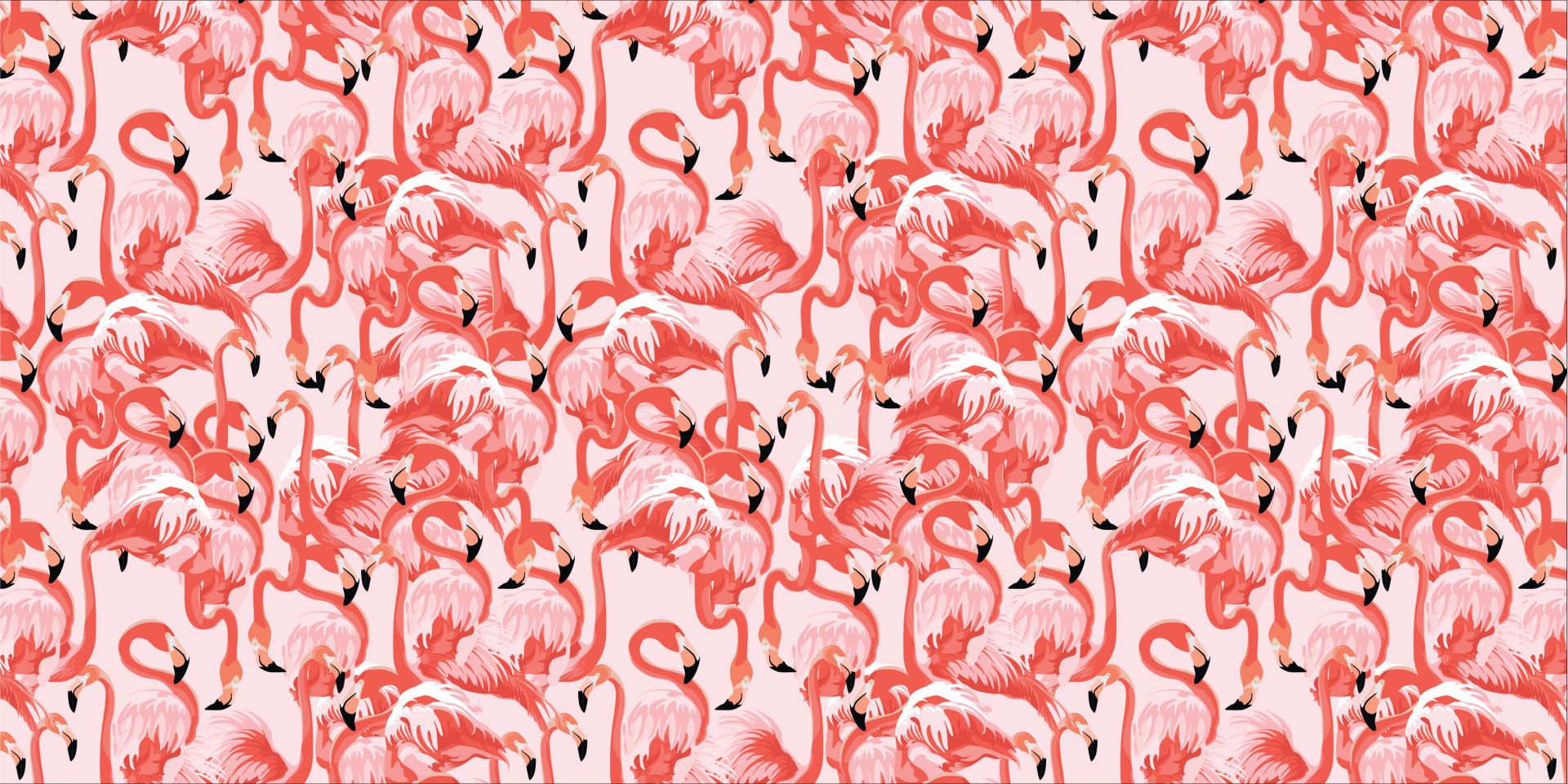Flamants roses exotiques