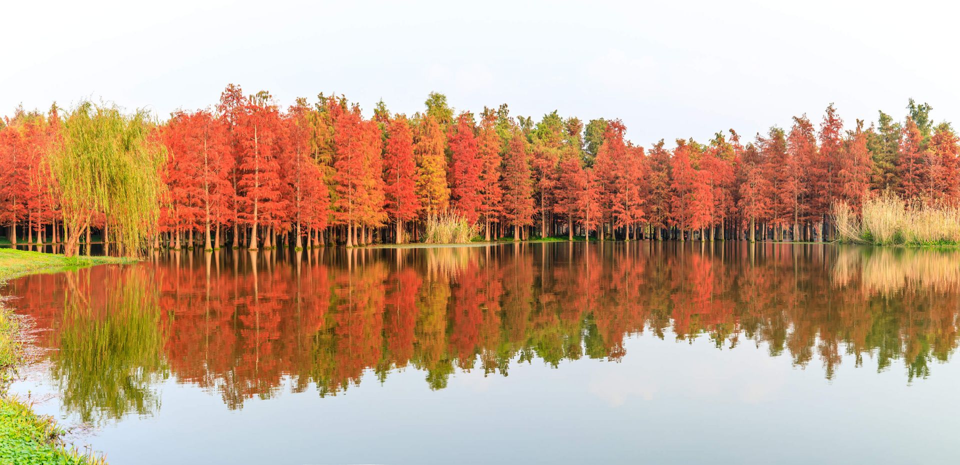 Paysage forestier coloré main product photo