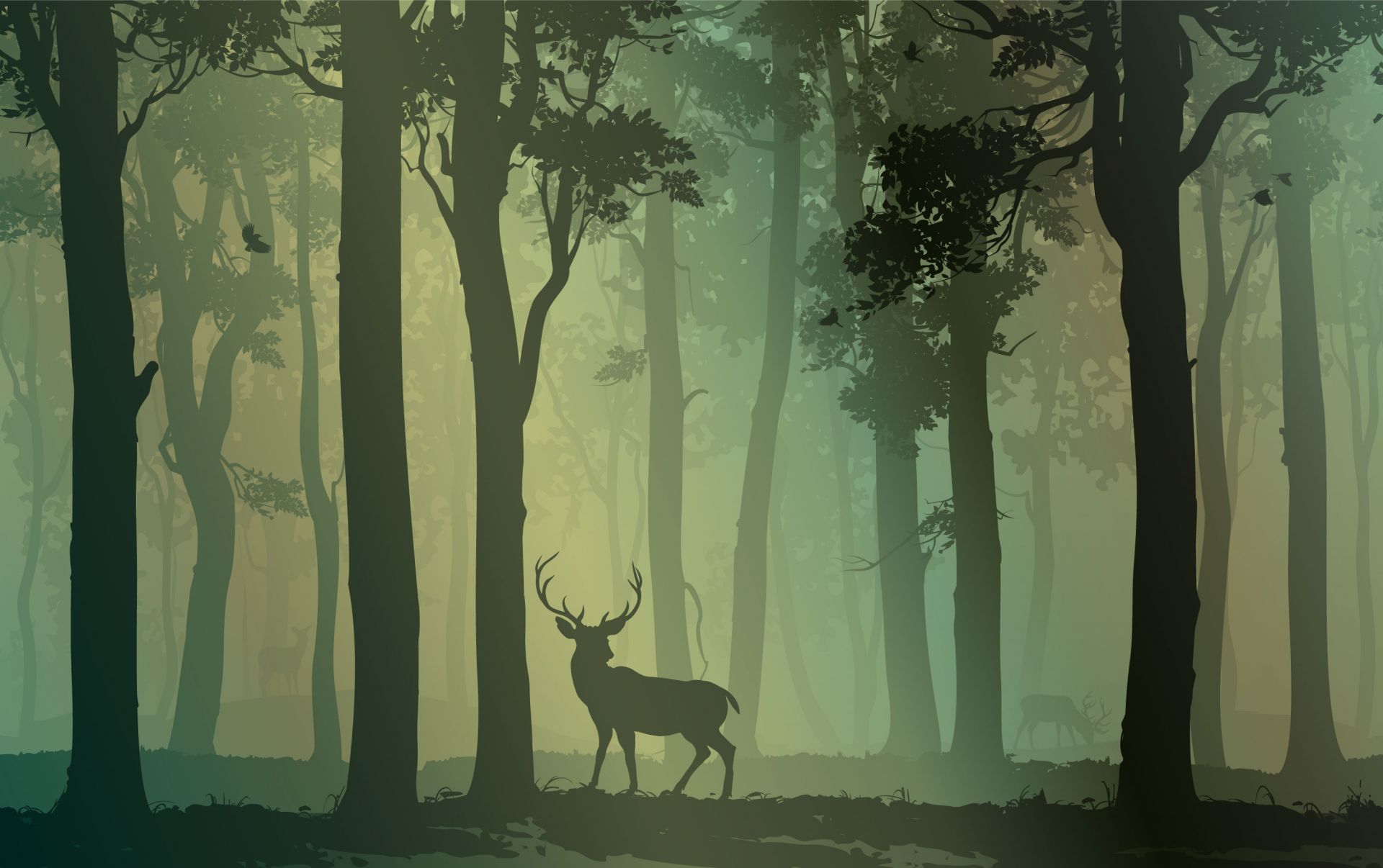 Cerf dans la forêt main product photo