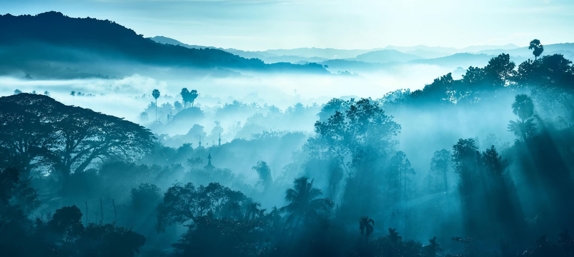 Un paysage magnifique main product photo