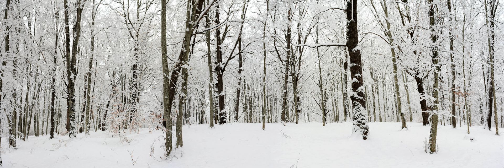 Panorama d'hiver main product photo