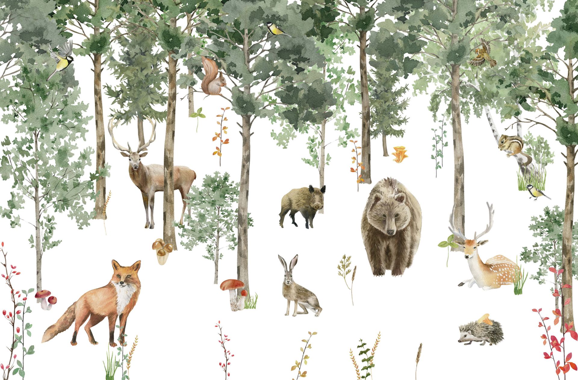 Aquarelle d'animaux de la forêt main product photo